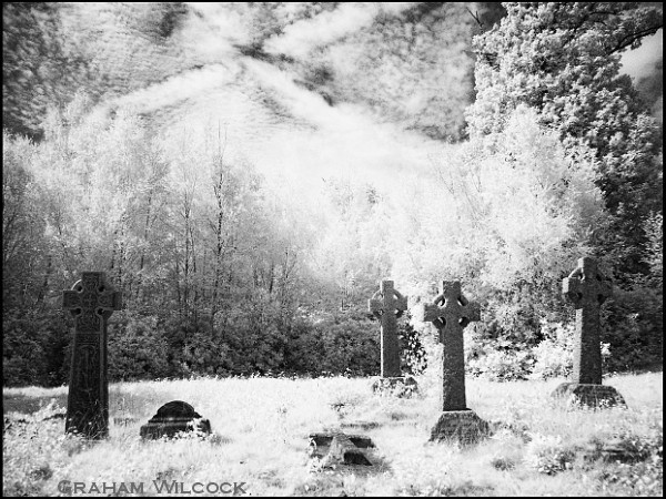 Signs and Portents